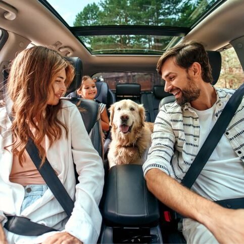 driving-2-family driving-2-family